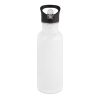 Gourde en acier inoxydable avec paille - Bouteilles et gourdes