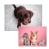 Tableau photo en aluminium Sublistar® - Panneaux en aluminium