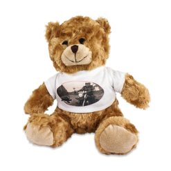 Ours en peluche Tim1