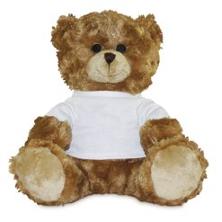 Ours en peluche Tim2