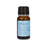 Huile essentielle pour parfum d'ambiance - Voiture et vélo