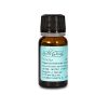 Huile essentielle pour parfum d'ambiance - Voiture et vélo