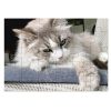 Puzzle en bois Sublistar - Jeux