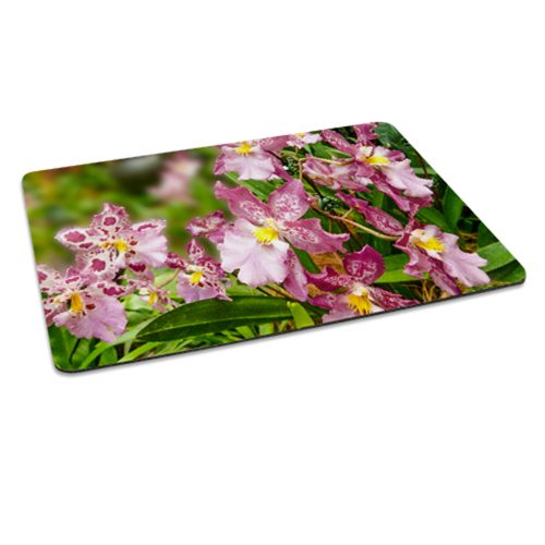 Sublistar® Tapis de souris 270 x 190 mm PrintFabrik Matériel et Articles pour la sublimation