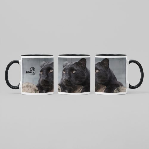 Tasse en céramique TWO TONES & HANDLE 11oz, Sublistar®-Coating PrintFabrik Matériel et Articles pour la sublimation