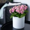 Pot de fleurs en céramique blanche - Décoration intérieur