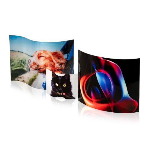 none – Image 5